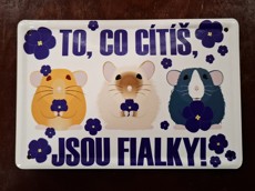 Plechová cedulka "Fialky" 15 x 10 cm